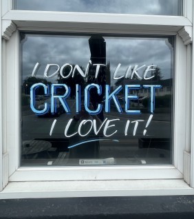 Cricket windows at Princess Royal Taunton