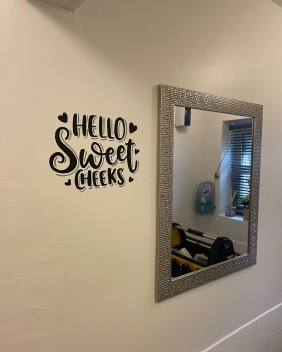 Wall art - Ladies toilet at The New Foresters Bridgwater